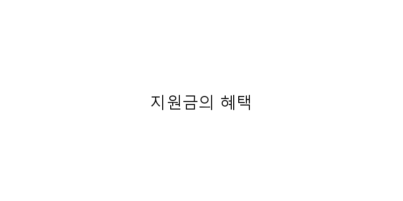 
  지원금의 혜택
 이미지