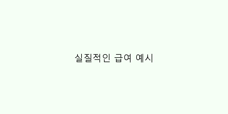 
  실질적인 급여 예시
 이미지