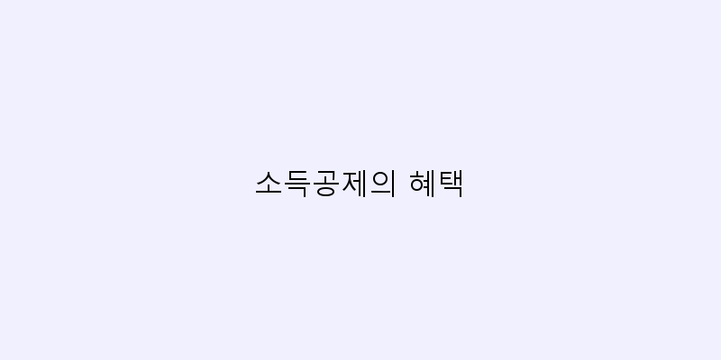 
  소득공제의 혜택
 이미지