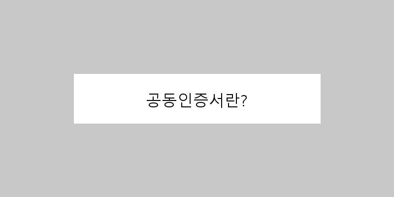 공동인증서란? 이미지