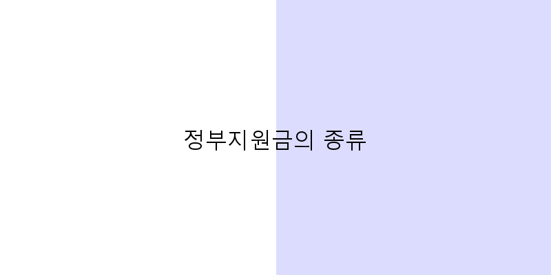 정부지원금의 종류 이미지
