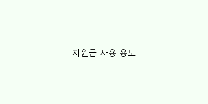 지원금 사용 용도 이미지
