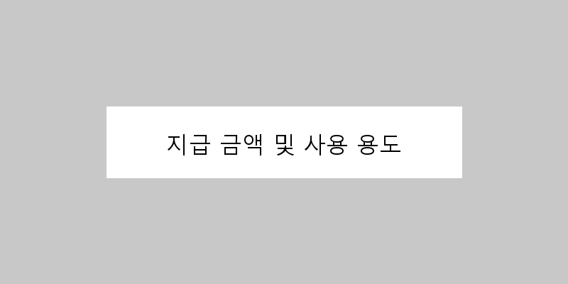 
  지급 금액 및 사용 용도
 이미지