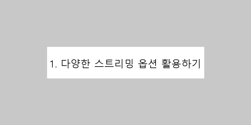 
  1. 다양한 스트리밍 옵션 활용하기
 이미지