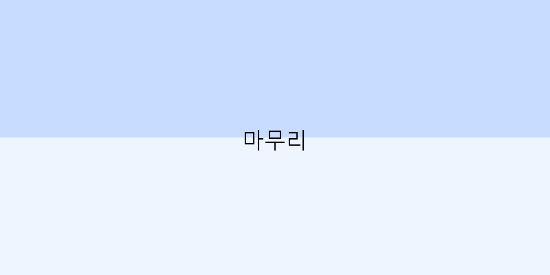 
  마무리
 이미지