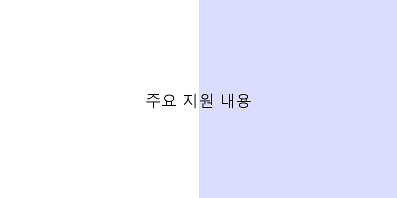 
  주요 지원 내용
 이미지