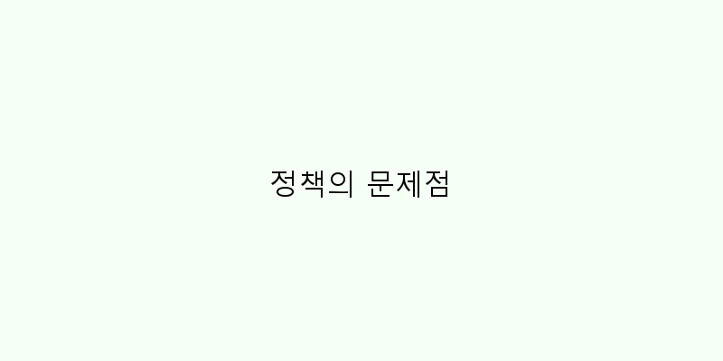 
  정책의 문제점
 이미지