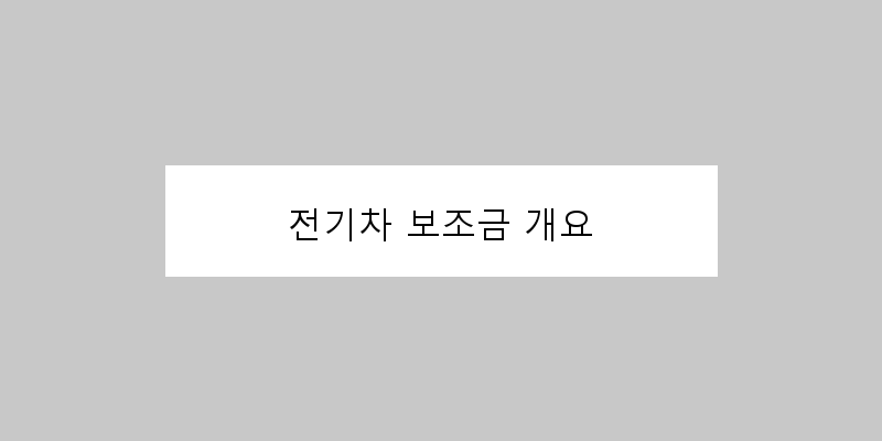 
  전기차 보조금 개요
 이미지