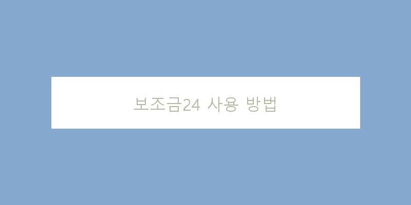 
  보조금24 사용 방법
 이미지