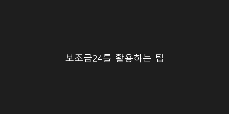 
  보조금24를 활용하는 팁
 이미지