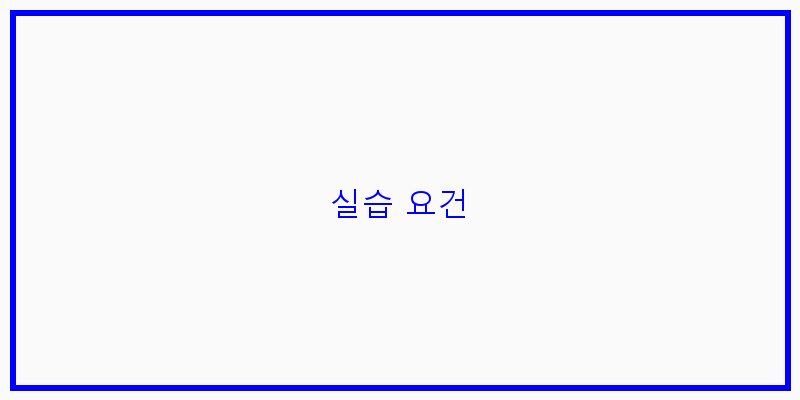 
  실습 요건
 이미지
