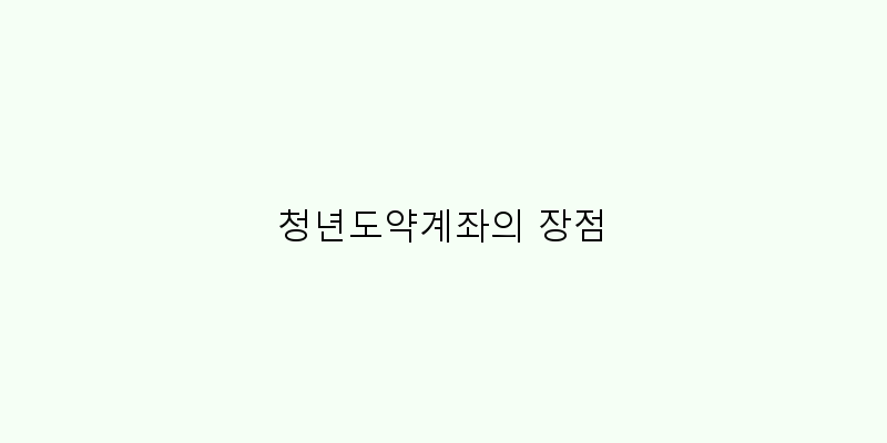 
  청년도약계좌의 장점
 이미지