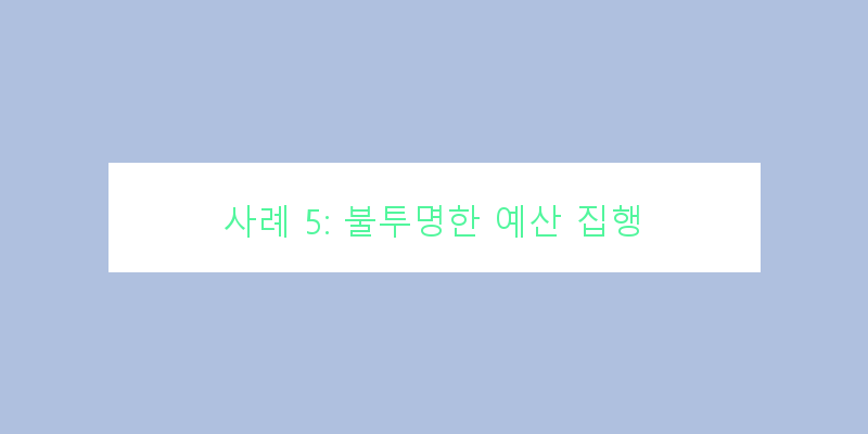 
  사례 5: 불투명한 예산 집행
 이미지