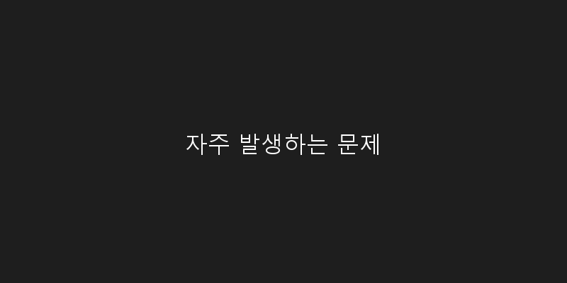 
  자주 발생하는 문제
 이미지
