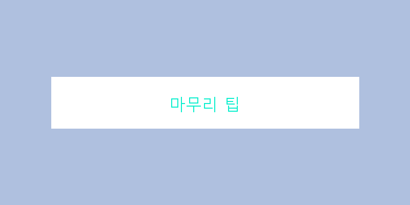 
  마무리 팁
 이미지