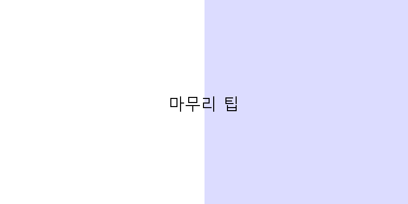 
  마무리 팁
 이미지
