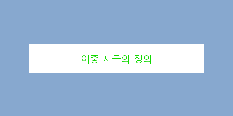 
  이중 지급의 정의
 이미지