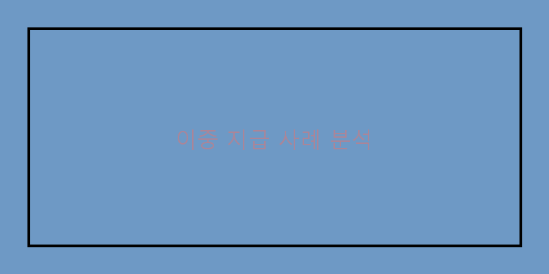 
  이중 지급 사례 분석
 이미지
