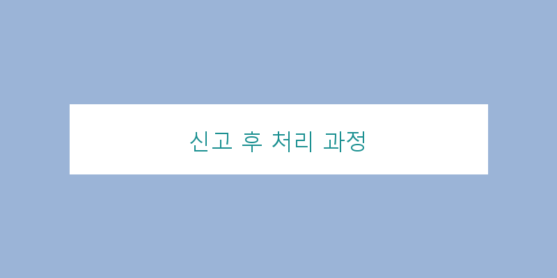 
  신고 후 처리 과정
 이미지