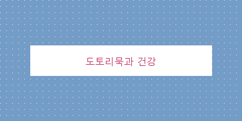 
  도토리묵과 건강
 이미지