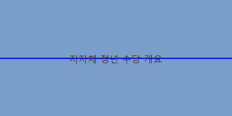 
  지자체 청년 수당 개요
 이미지