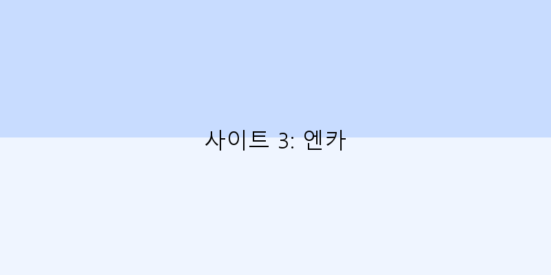 
  사이트 3: 엔카
 이미지