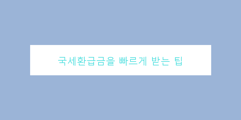 
  국세환급금을 빠르게 받는 팁
 이미지