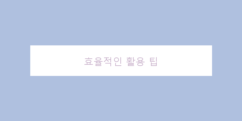 
  효율적인 활용 팁
 이미지
