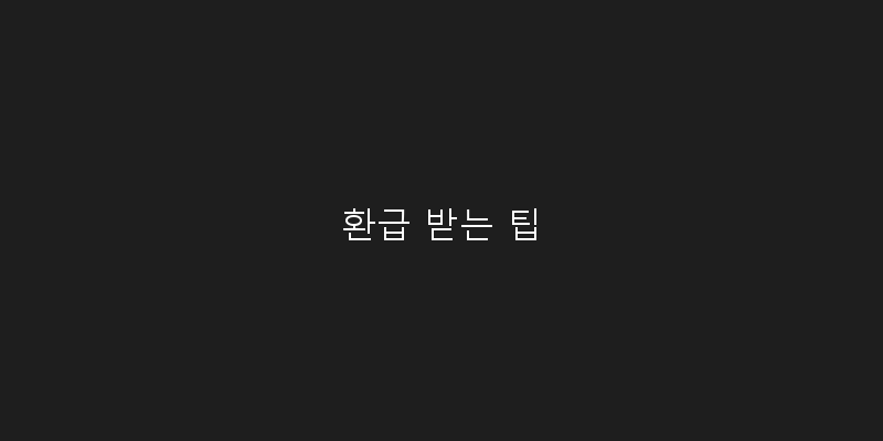 
  환급 받는 팁
 이미지