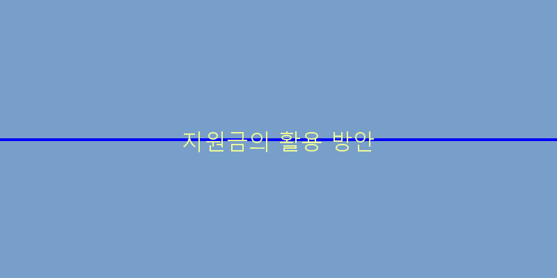 
  지원금의 활용 방안
 이미지