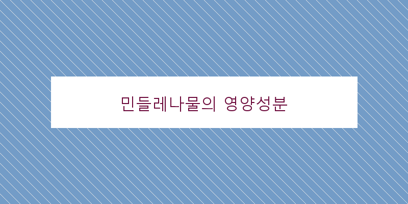 
  민들레나물의 영양성분
 이미지