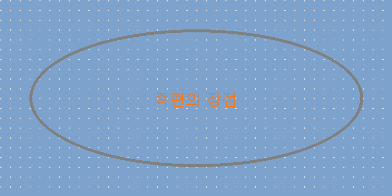 
  족편의 장점
 이미지