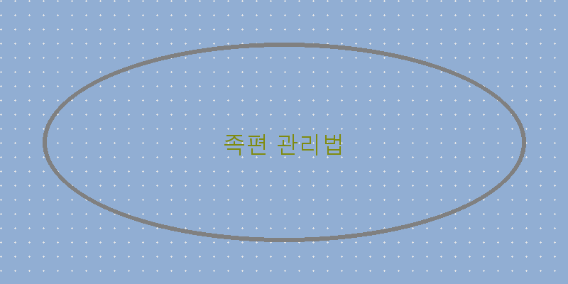 
  족편 관리법
 이미지