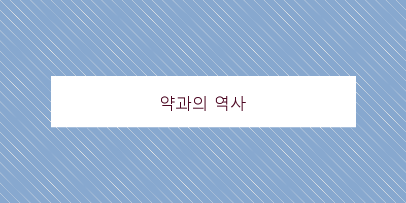 
  약과의 역사
 이미지
