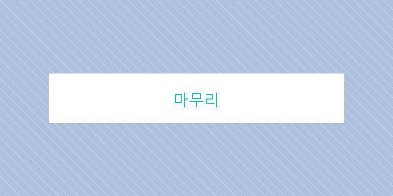 
  마무리
 이미지