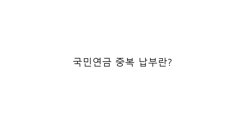 
  국민연금 중복 납부란?
 이미지